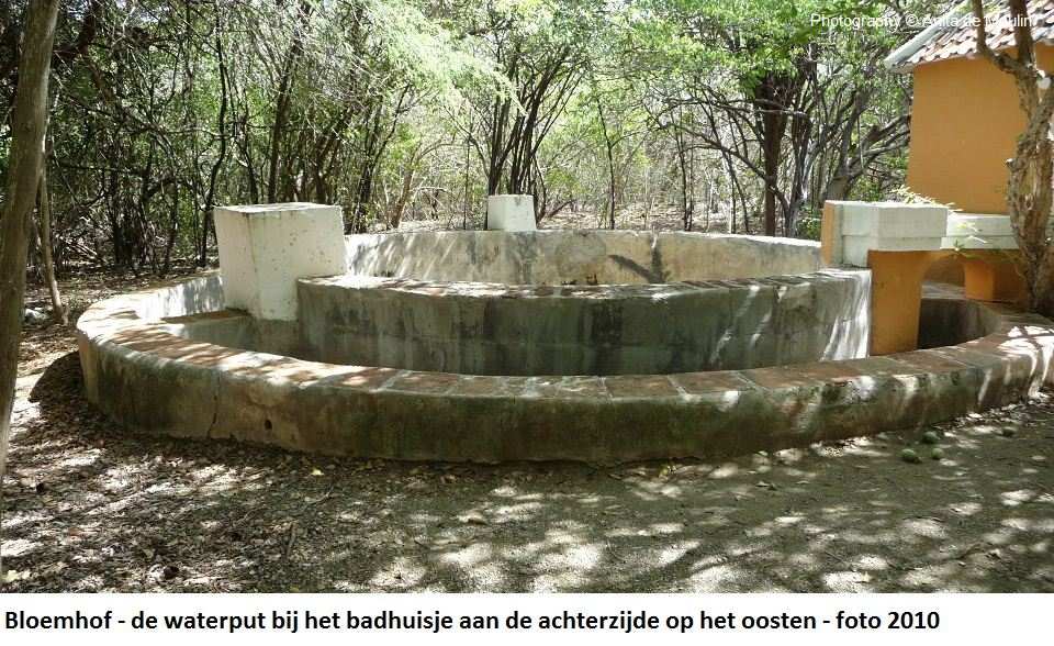 41. Bloemhof de waterput 2010